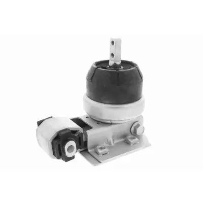 Favorito De Clientes Soporte, motor VAICO V10-1779